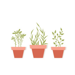 Vector potted plants