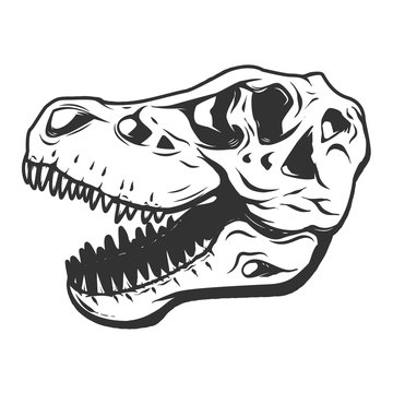 t-rex dinosaur skull isolated on white background. Images for logo, label, emblem. Vector illustration.