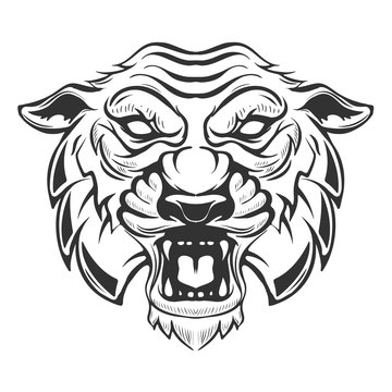 tiger head illustration isolated on white background. Images for logo, label, emblem. Vector illustration.