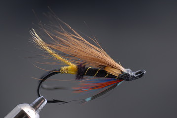 Fishing fly