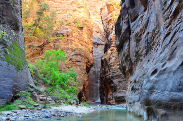 The Narrows passage with Virgin River, Zion National Park, Utah, USA