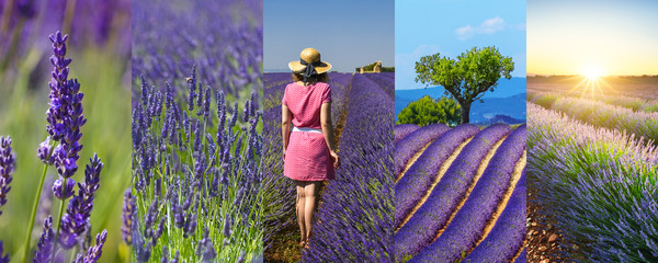 Fototapeta premium Prostokątny kolaż zdjęć z podróży Pola lawendy