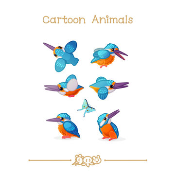 Toons series cartoon animals: kingfisher & butterfly