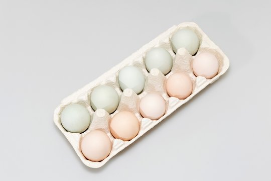 Wytłaczanka z 10 jajkami na białym tle 