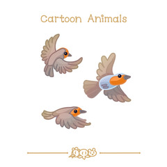 Toons series cartoon animals: robin bird
