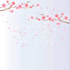 Branches of Sakura and petals flying isolated on light blue background. Apple-tree flowers. Cherry blossom. Vector 