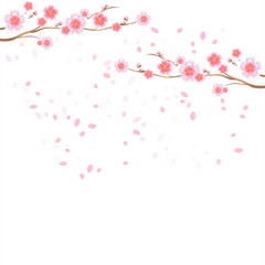 Branches of Sakura and petals flying isolated on white background. Apple-tree flowers. Cherry blossom. Vector 