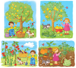 In the garden. Cute boy and girl collecting fruits and vegetables