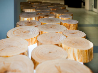 Row of alder saw cuts lie on white surface. Selective focus. Perspective view.