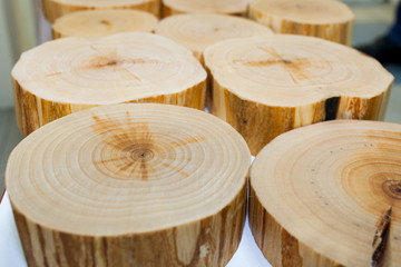 Close-up several alder saw cuts. Selectively focus.