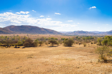 Fototapeta na wymiar Landscape from Pilanesberg National Park, South Africa