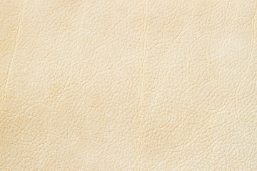 Close-up paint genuine leather, pale beige color background or texture. For backdrop, substrate, composition use. With place for your text