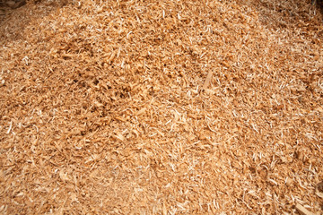 Teak Wood Sawdust Texture Background