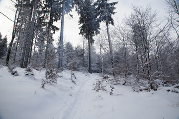 Mountains landscape covered with snow