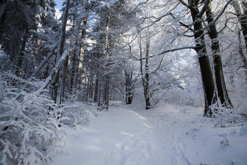 Mountains landscape covered with snow