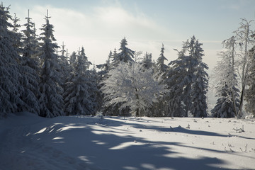 Mountains landscape covered with snow