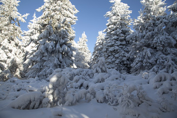Mountains landscape covered with snow