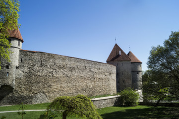 Tallinn city wall