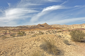 Fototapeta na wymiar Arid desert in Israel. 