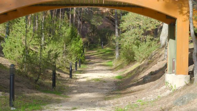 12768_A_walkway_underneat_the_arch_bridge_in_the_middle_of_the_forest.mov