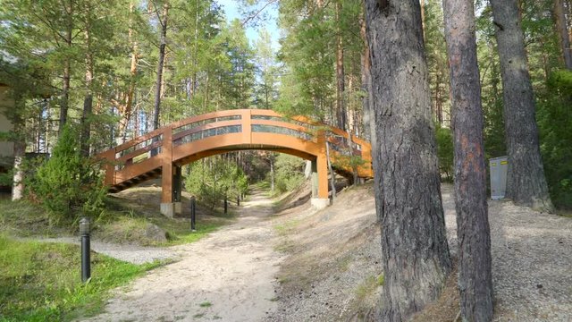 12767_A_small_arch_bridge_in_the_middle_of_the_forest.mov