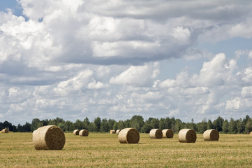 Haystacks in a wheat field on a cloudy sky background.