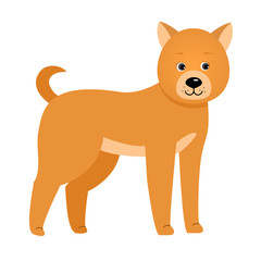 Dog. illustration for children