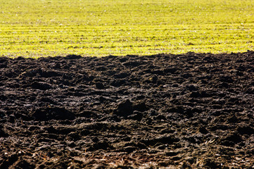 Ploughed soil in agricultural field arable land