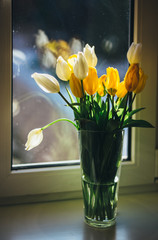 Bouquet of tulips standing at the window on a sunny day