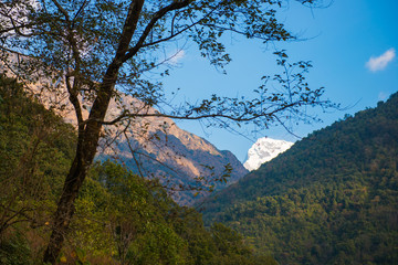 hilltop of snow mountain view on the way to Annapurna base camp
