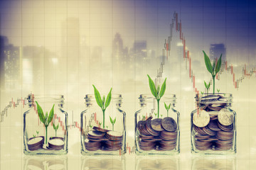 Fototapeta na wymiar money coins and seed in clear bottle on cityscape photo blurred cityscape background,Business investment growth concept.with stock chart, investment concept.