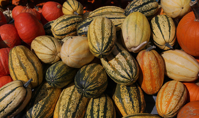 Squashs in a market, Montreal, Quebec, Canada