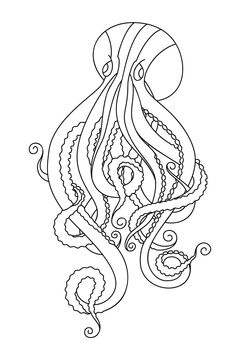 Doodle octopus sketch