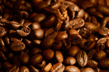 Close up of fresh Roasted coffee beans with sun light