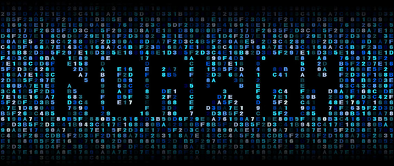 Norway text on hex code illustration