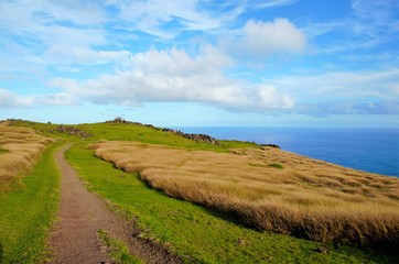 Long shot of the Orongo village between the Rano Kau crater and the Pacific ocean close to Hanga Roa the capital of Easter Island, Rapa Nui, Chile, South America