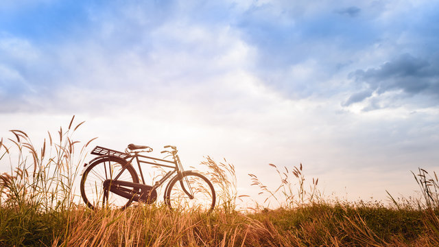 beautiful landscape image with Bicycle at sunset,Vintage bicycle on summer grass field