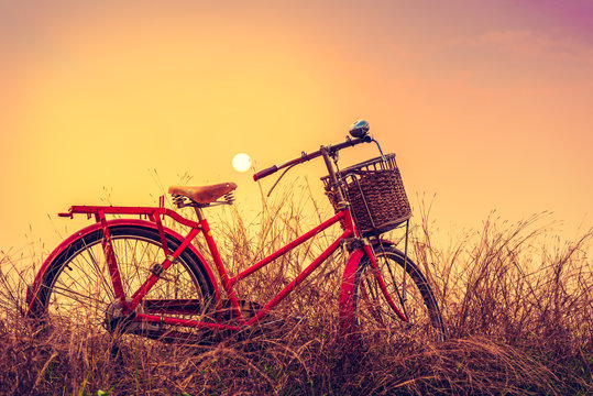 Vintage Bicycle with summer background at sun set (vintage process style,Boost up Color Processing)