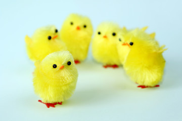 isolated group of easter chicken on green background