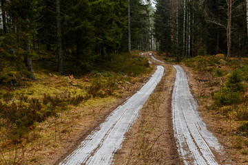 Small road with snow leading into forest