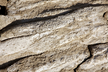 background of dry parched and cracked soil of the earth, texture of clay fissures desert