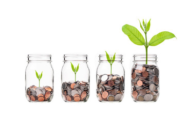 Mix coins with seed in clear bottle on white background,Business investment growth concept,saving...