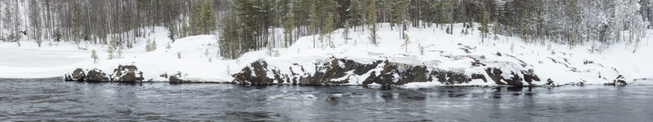 Fototapeta na wymiar panorama with snowed pines and black river
