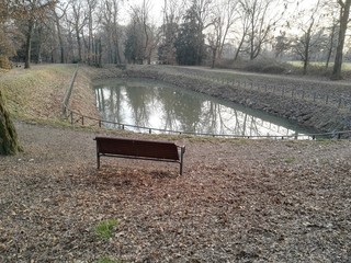 Laghetto nel parco