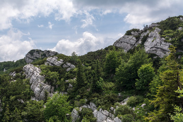 Folded layers rock formations in Risnjak, Croatian national park. Hikers can see this when travel Croatian mountains.