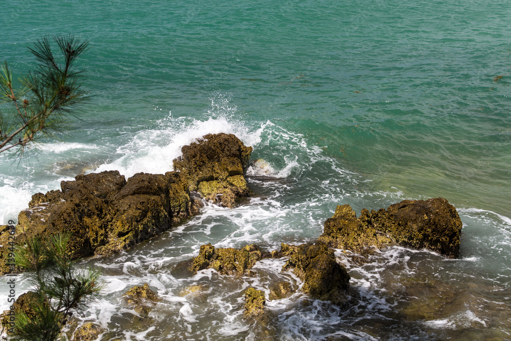 Wall mural top view to the foamy waves breaking on rocks at clear sunny day in croatian seashore with pine tree