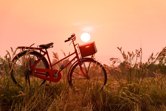 beautiful landscape image with Bicycle at sunset.classic bicycle,old bicycle style for greeting Cards ,post card