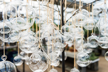 Many empty terrariums hanging for sale