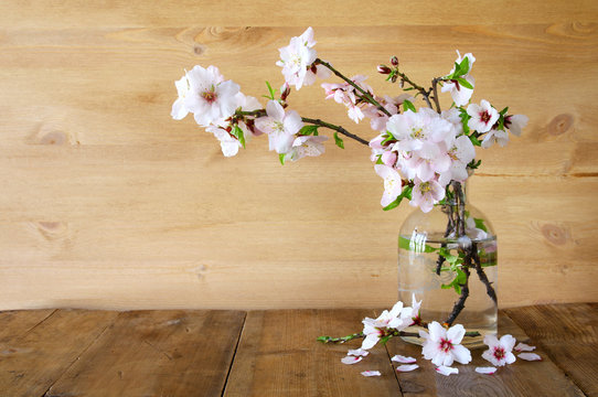 spring bouquet of cherry tree branches