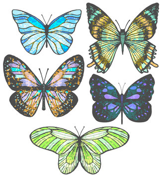 vector set of colorful hand-drawn butterflies